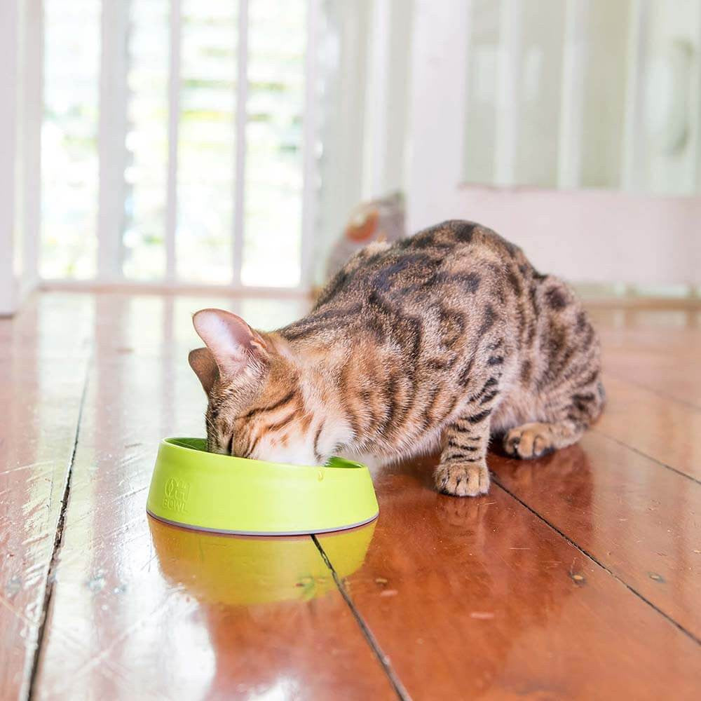 LickiMat Oh Bowl for Cats